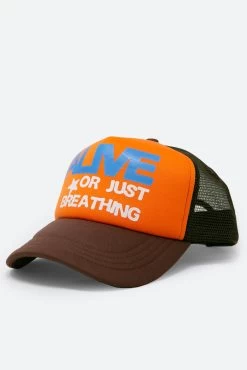 Alive Trucker Cap - Brown -clothing Alive Trucker Cap Brown 4